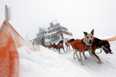 Czech Republic Dog Sled Race
